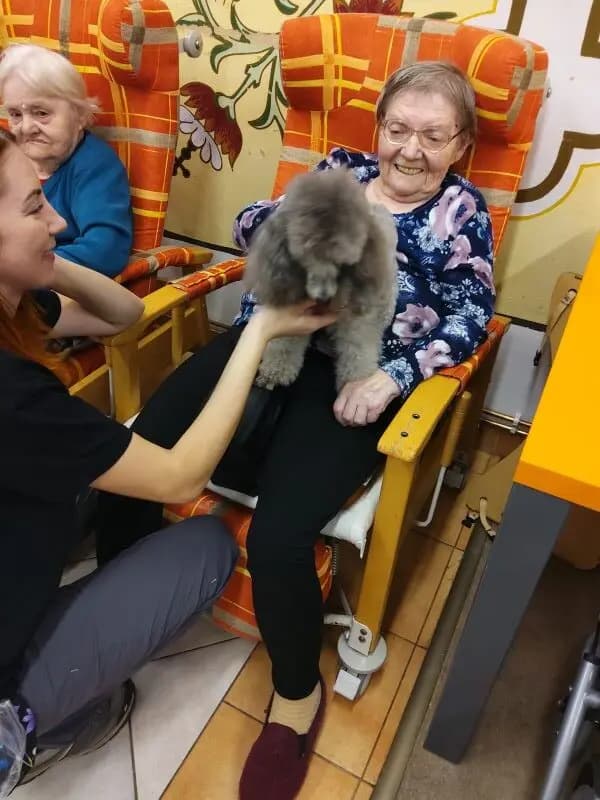 image 2025 11 12 160706666