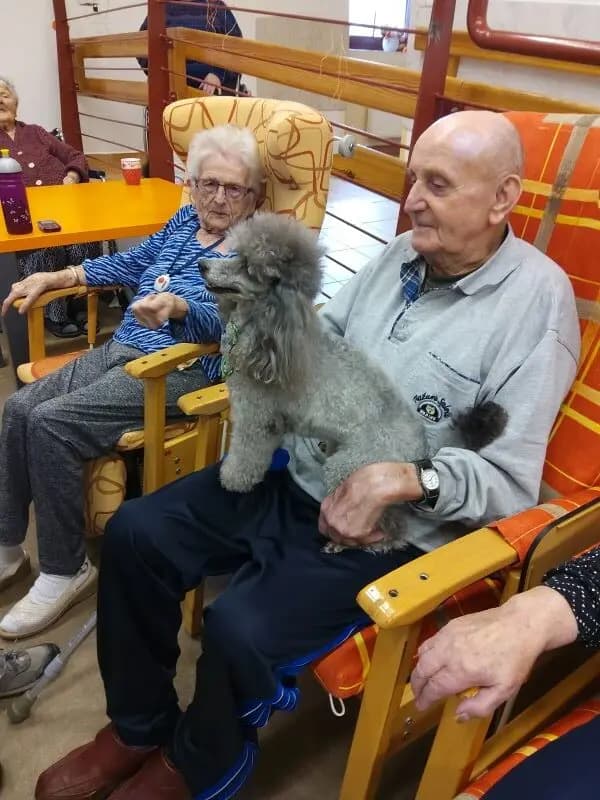 image 2025 11 12 160714195